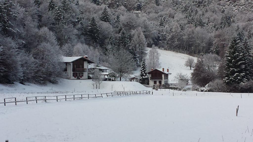 Appartamento Chalet Monica Molina di Ledro Esterno foto